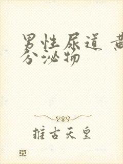 男性尿道 黄色分泌物封面