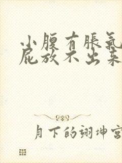 小腹有胀气想放屁放不出来封面