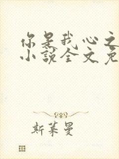 你是我心之所向小说全文免费阅读