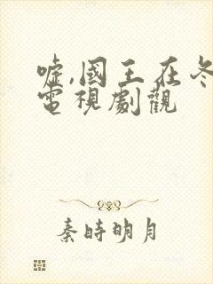 嘘,国王在冬眠电视剧观