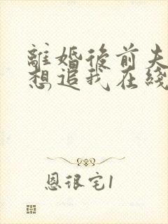 离婚后前夫总是想追我在线阅读全文免费