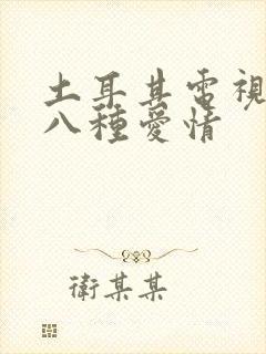 土耳其电视剧第八种爱情