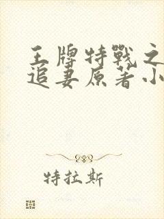 王牌特战之军少追妻原著小说