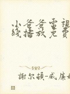 小爸爸电视剧在线播放免费高清封面