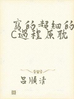 写的超细的多肉C过程原耽