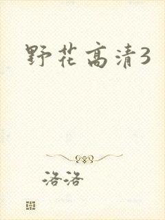野花高清3