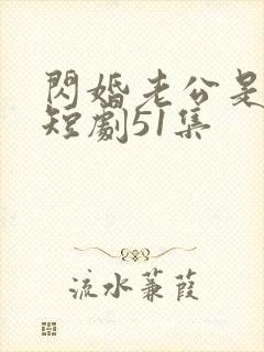 闪婚老公是豪门短剧51集