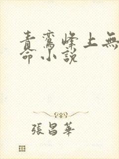 青鸾峰上无敌天命小说封面