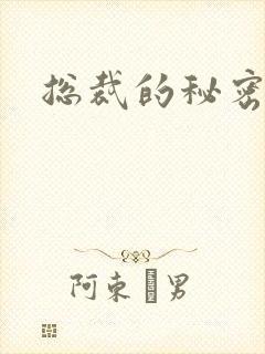 总裁的秘密情人封面