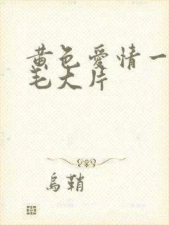 黄色爱情一级毛毛大片封面