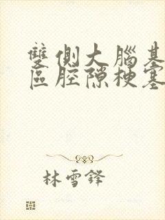 双侧大脑基底节区腔隙梗塞