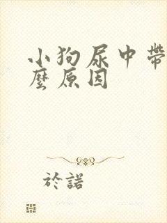 小狗尿中带血什么原因