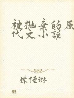 被抛弃的原配年代文小说封面