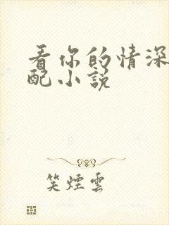 看你的情深我不配小说