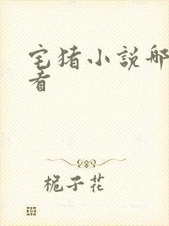 宅猪小说哪本好看封面