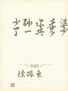 少帅你老婆又跑了一共多少集