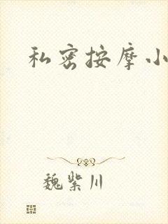 私密按摩小说封面