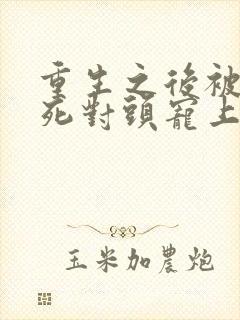 重生之后被渣男死对头宠上天