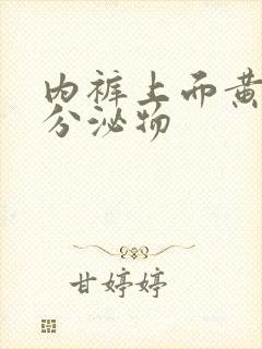 内裤上面黄黄的分泌物