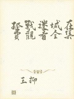 孤战迷城在线免费观看全集