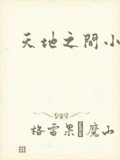 天地之间小说
