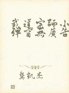 武道宗师小说无弹窗无广告封面