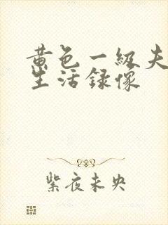 黄色一级夫妻性生活录像