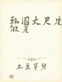 韩国大尺度激情做爰