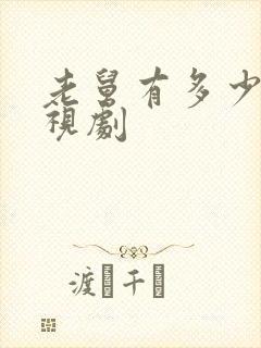 老舅有多少集电视剧封面