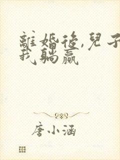 离婚后,儿子带我躺赢封面