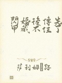 闪婚后传先生马甲藏不住了