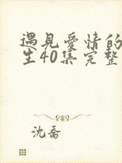 遇见爱情的利先生40集完整版全集