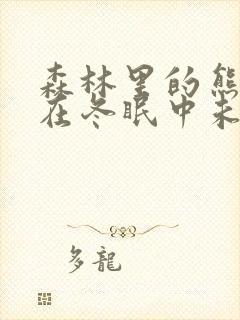 森林里的熊先生在冬眠中未增减版动漫