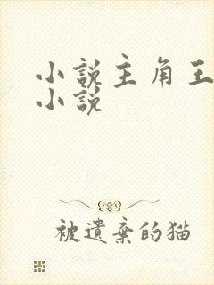 小说主角王浩的小说