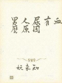 男人尿有血是什么原因