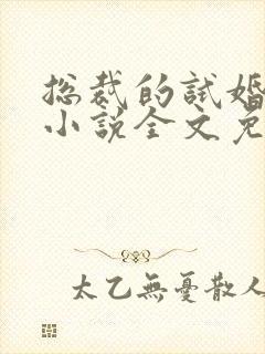 总裁的试婚甜妻小说全文免费阅读