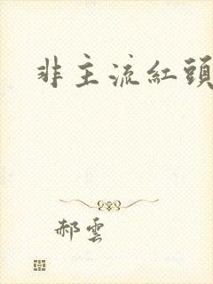 非主流红头发男