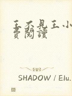 王不见王小说免费阅读