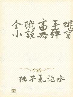 全职高手蝴蝶蓝小说无弹窗免费阅读