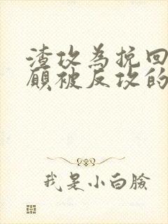 渣攻为挽回受自愿被反攻的小说