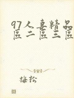 97人妻精品一区二区三区在线