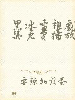 黑冰电视剧40集免费播放