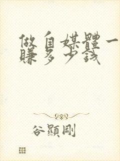 做自媒体一月能赚多少钱