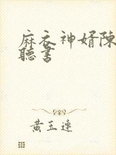 麻衣神婿陈黄皮听书