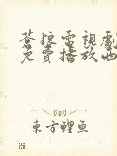 苍狼电视剧全集免费播放西瓜