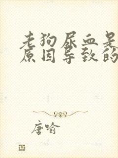 老狗尿血是什么原因导致的