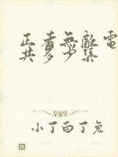 正者无敌电视剧共多少集