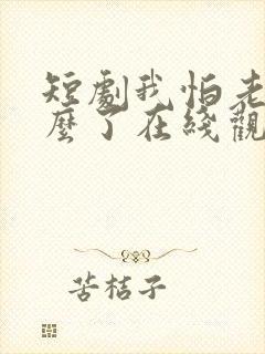 短剧我怕老婆怎么了在线观看