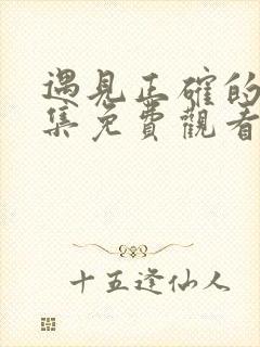 遇见正确的你全集免费观看完整版