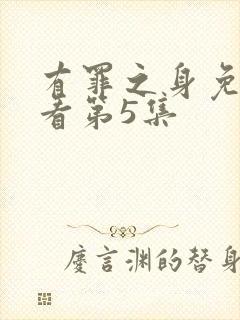 有罪之身免费观看第5集封面